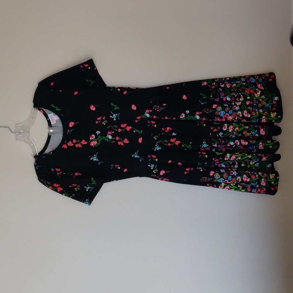 LuLaRoe Dress